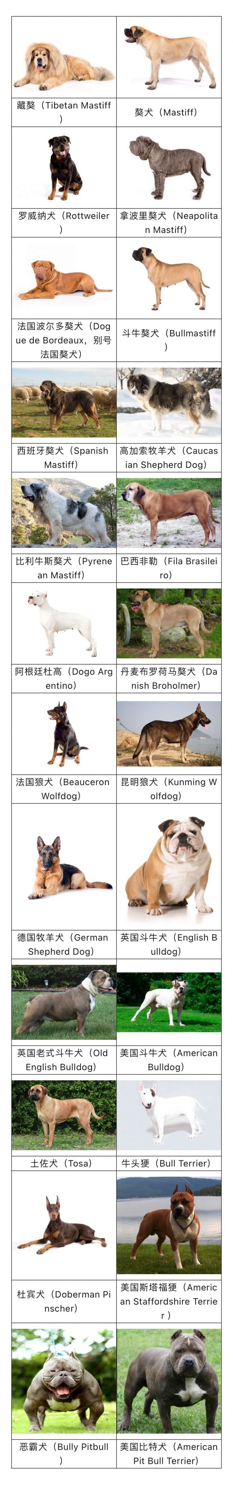 烈性犬名单